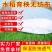 无纺布水稻育秧无纺布种草无纺布育苗育秧无纺布防寒无纺布