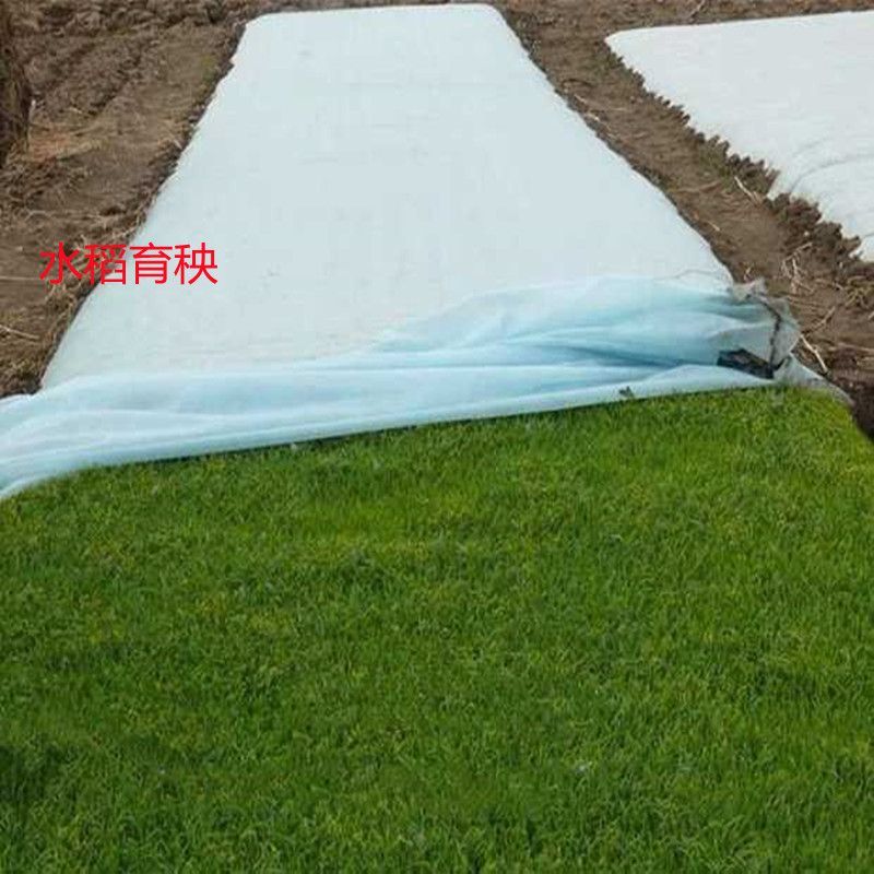 无纺布水稻育秧无纺布种草无纺布育苗育秧无纺布防寒无纺布