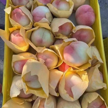 专业电商代发，社区团购，市场批发，量大从优