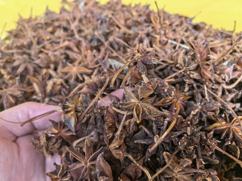 大红干枝八角现在多少钱一斤