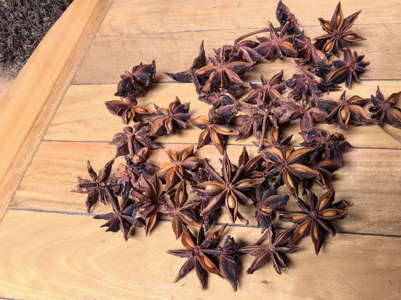 大红干枝八角现在多少钱一斤