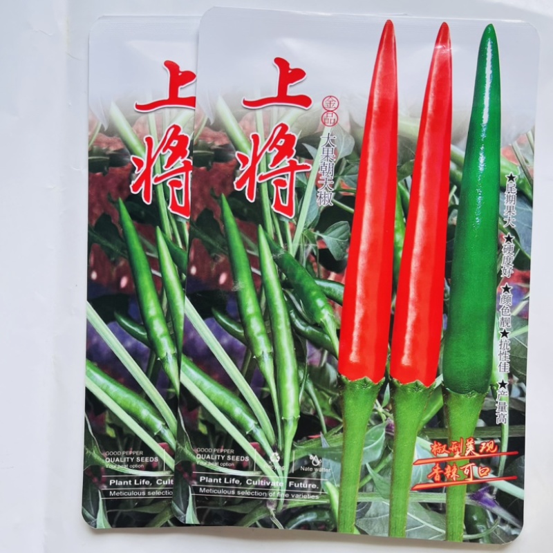 富乔上将小米椒品种，大果青红两用品种种子