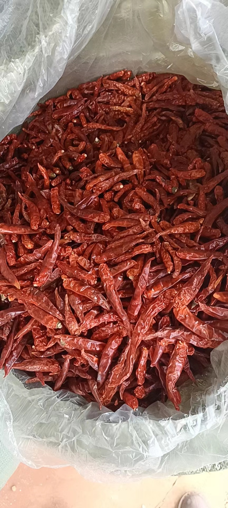 脱帽高辣系列干辣椒