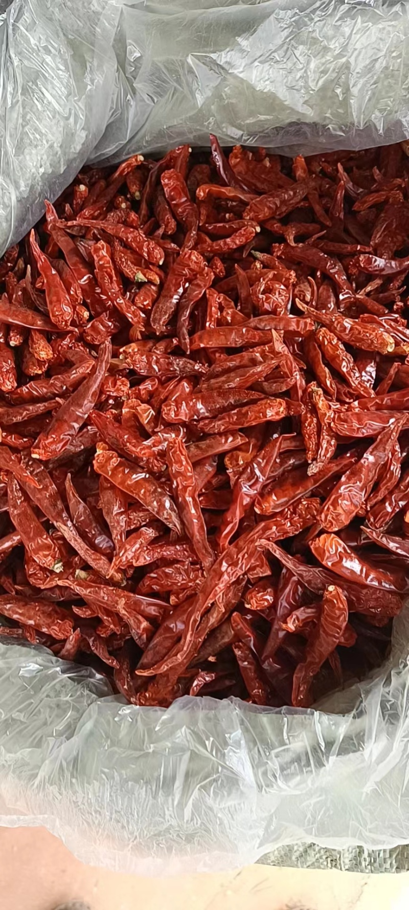 脱帽高辣系列干辣椒