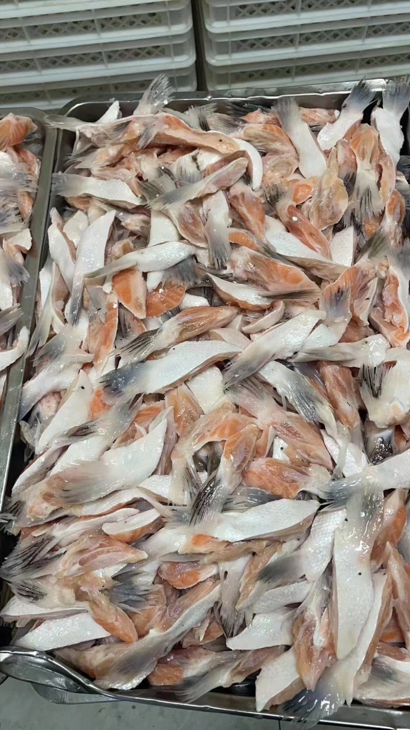 三文鱼鱼翅鱼鳍烧烤鱼翅海鲜食材单冻三文鱼鱼鳍