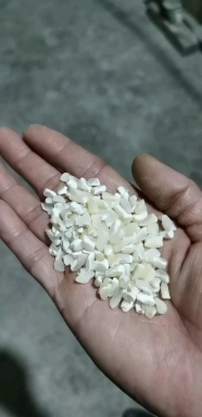 粘玉米碴