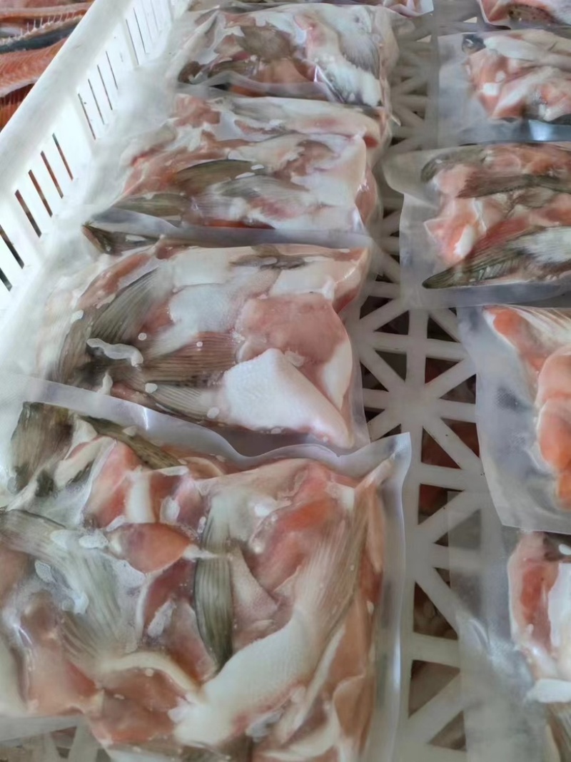 三文鱼鱼鳍三文鱼鱼翅原浆鱼翅马哈鱼鱼翅烧烤食材自助餐食材