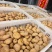湖北土豆精品马尔科土豆大量上市黄皮黄心量大从优