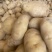 湖北土豆精品马尔科土豆大量上市黄皮黄心量大从优