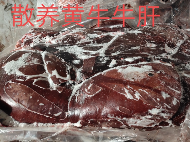 【牛肝】黄牛的食品级新鲜速冻！不是标准件！量大优惠！