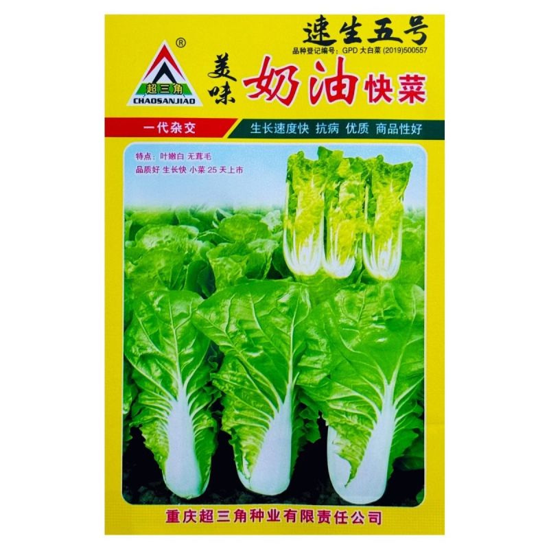 四季奶油快菜种子速生五号小白菜美味奶油快菜籽早熟高产耐热