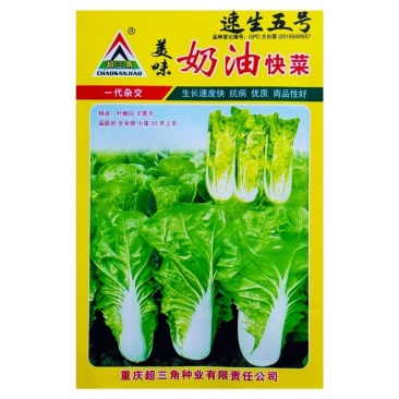 四季奶油快菜种子速生五号小白菜美味奶油快菜籽早熟高产耐热