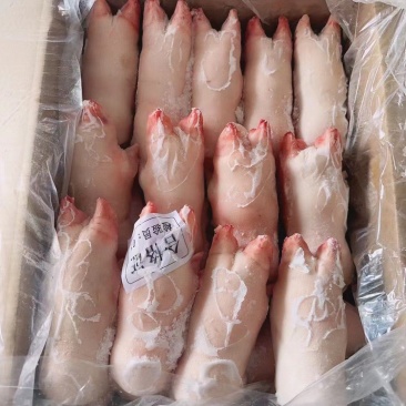 肥猪猪蹄，猪手，新货，长期生产，货源充足，供应稳定