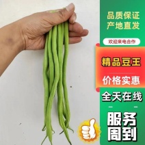 甘肃架豆王豆王精品豆王无丝架豆王豆角缸豆