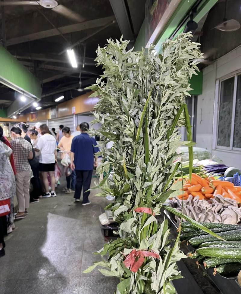 艾草端午艾草大量批发，可以按照要求定制，量大便宜可以