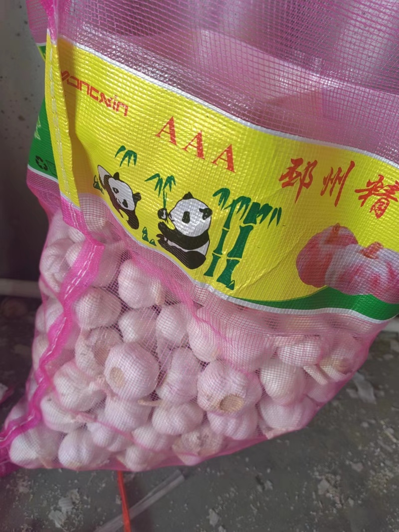 大蒜杂交蒜量大质优价格优惠一手货源欢迎咨询采购