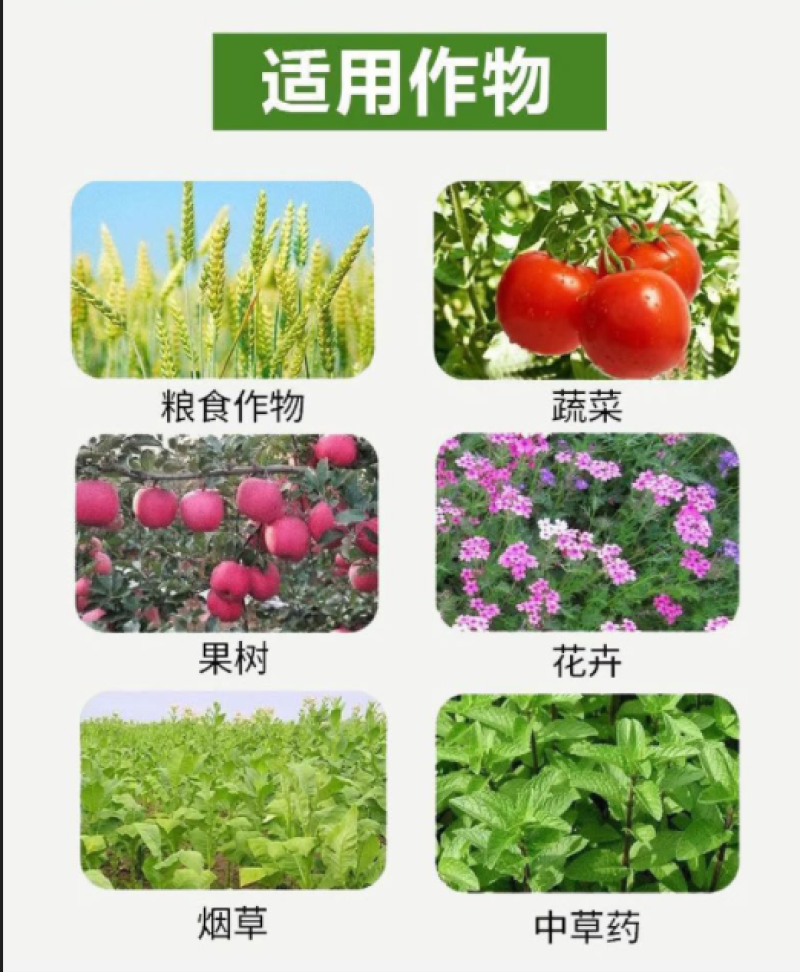 促花授粉坐果精增加雌花数量防治落花落叶落果肥料