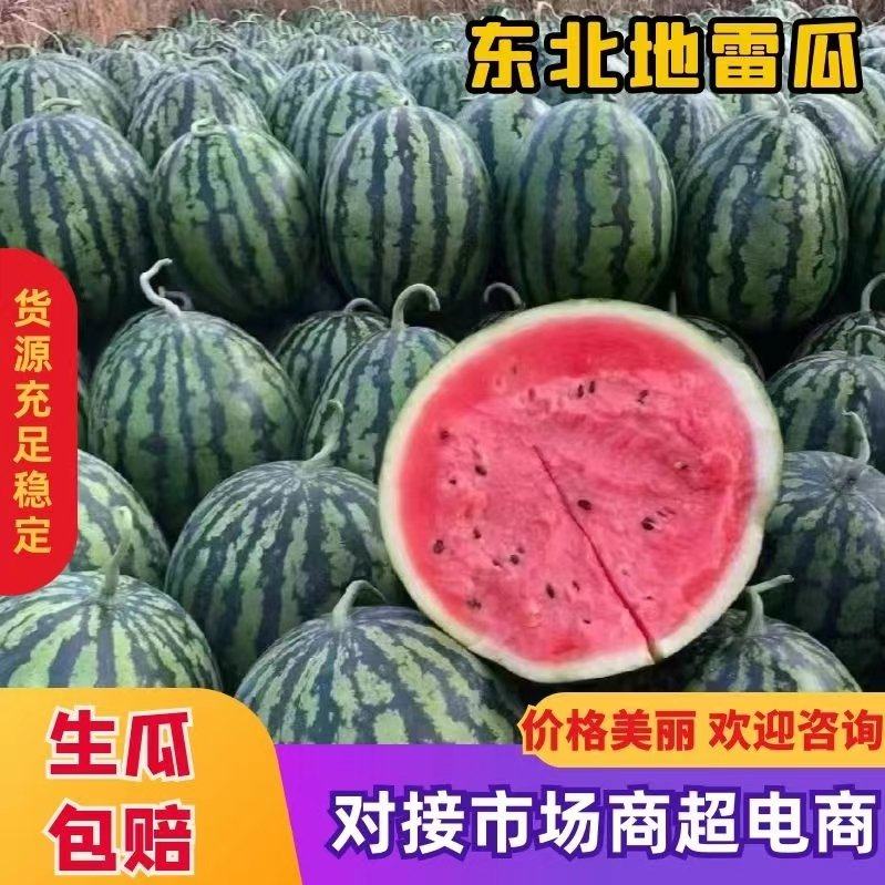 [甜王西瓜批发]吉林松原长岭县西瓜 0.50元/斤东北甜王，地雷 _ 一亩田