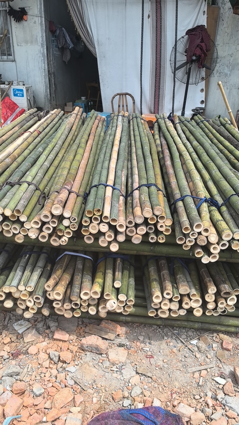 【推荐】浙江湖州小苗果树山药搭架支撑杆竹竿竹子产地直发