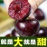 山东美早大樱桃烟台正宗车厘子新鲜水果当季现摘现发国产樱桃