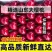 山东美早大樱桃烟台正宗车厘子新鲜水果当季现摘现发国产樱桃