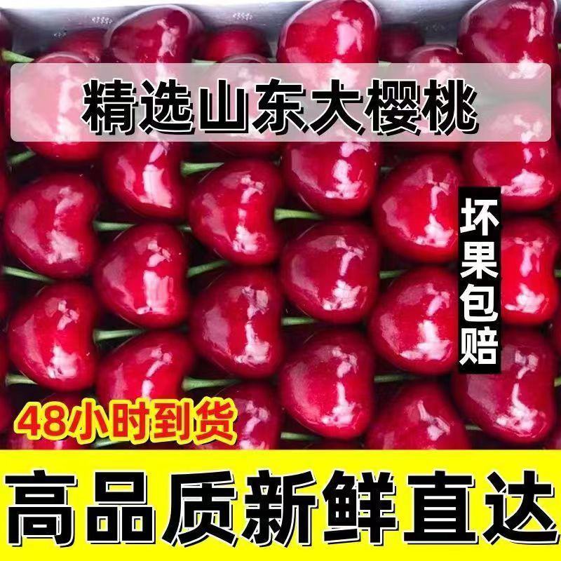 山东美早大樱桃烟台正宗车厘子新鲜水果当季现摘现发国产樱桃