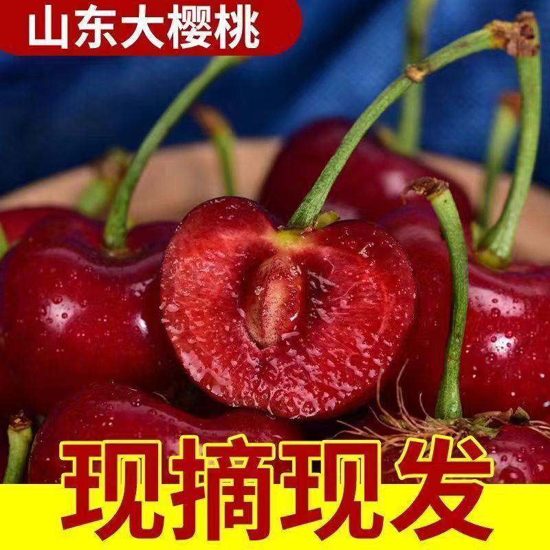 山东美早大樱桃烟台正宗车厘子新鲜水果当季现摘现发国产樱桃