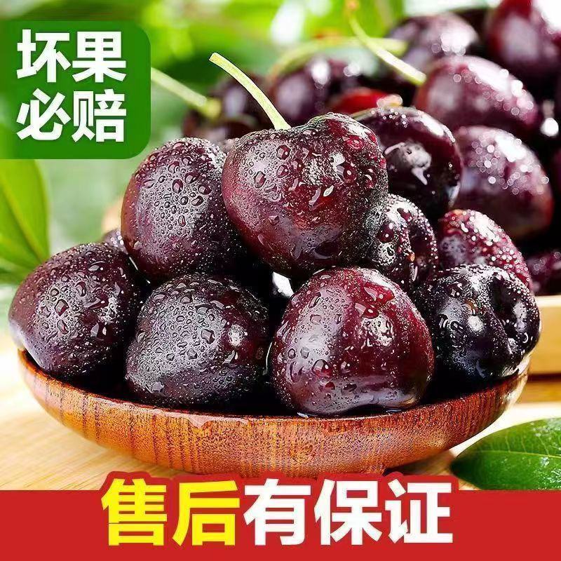 山东美早大樱桃烟台正宗车厘子新鲜水果当季现摘现发国产樱桃