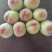 青红毛桃大量供应价格1块