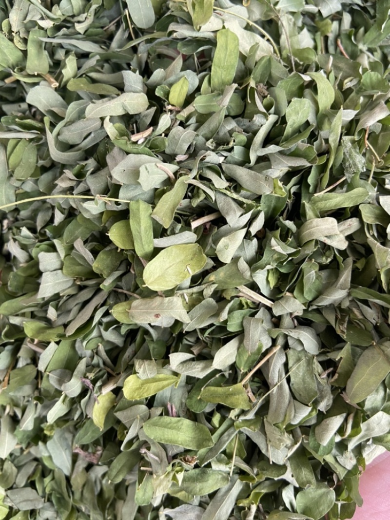 相思叶