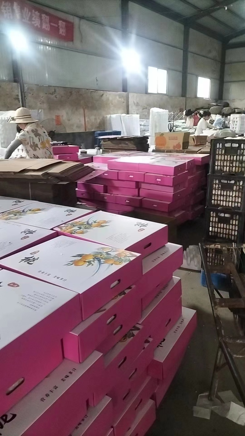 黄桃蒙阴黄油桃黄毛桃承接商超电商社区团购等
