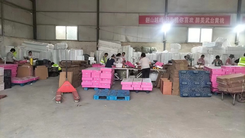 蒙阴黄桃山东黄桃电商对接美团多多快手抖音一件代发