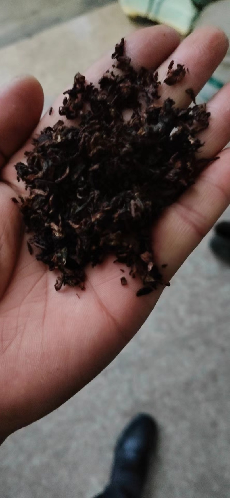 正宗绍兴无沙梅干菜，盐份少，干度好，大量供应，货源充足一