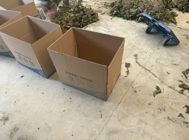 见血清干货水洗扎把标准件