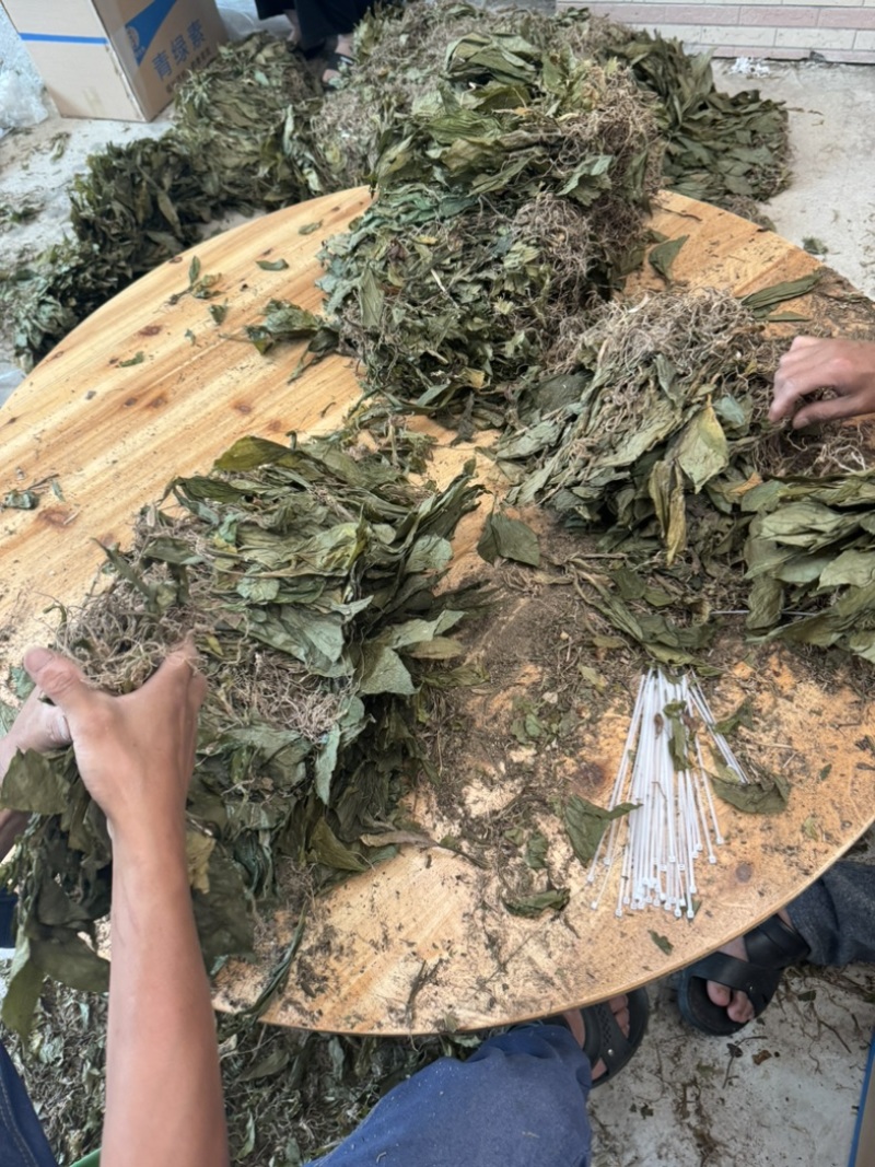 见血清干货水洗扎把标准件