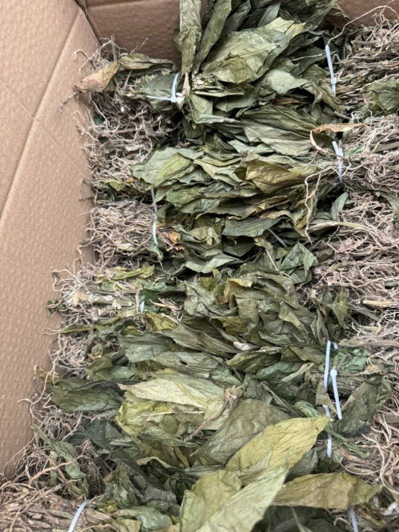 见血清干货水洗扎把标准件