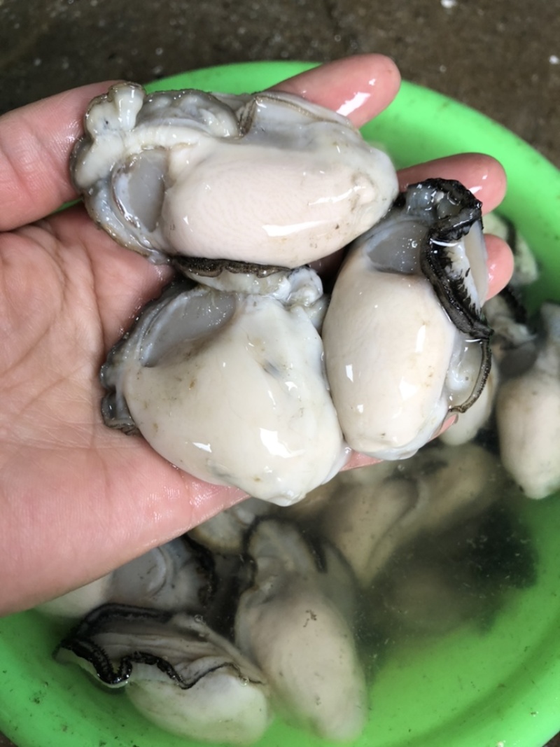 精挑大只生蚝肉。蚝蛋烧，蒸粉，蚝粥，肠粉，汤粉都合适