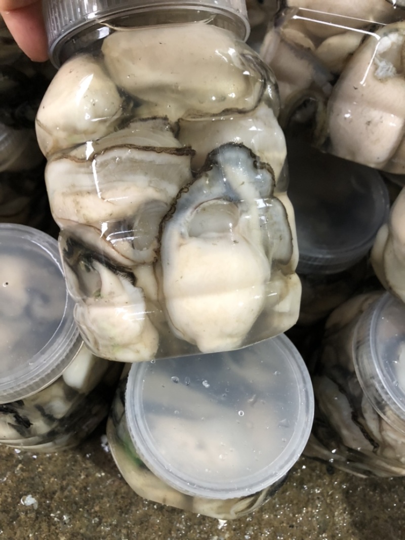 精挑大只生蚝肉。蚝蛋烧，蒸粉，蚝粥，肠粉，汤粉都合适