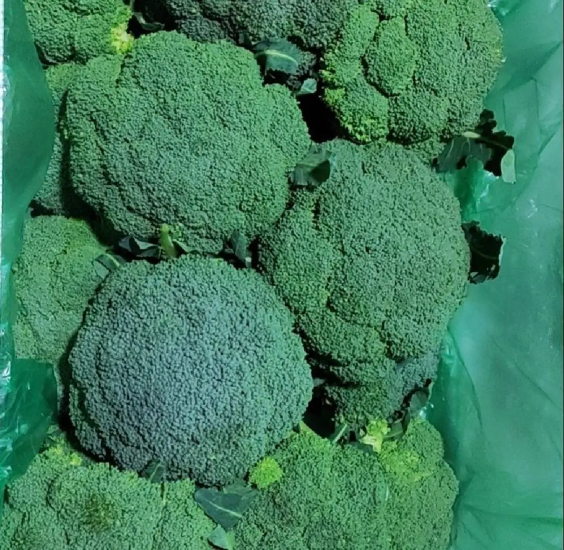 精品西兰花，新鲜货源品质保障规格齐全可打包欢迎老板选购