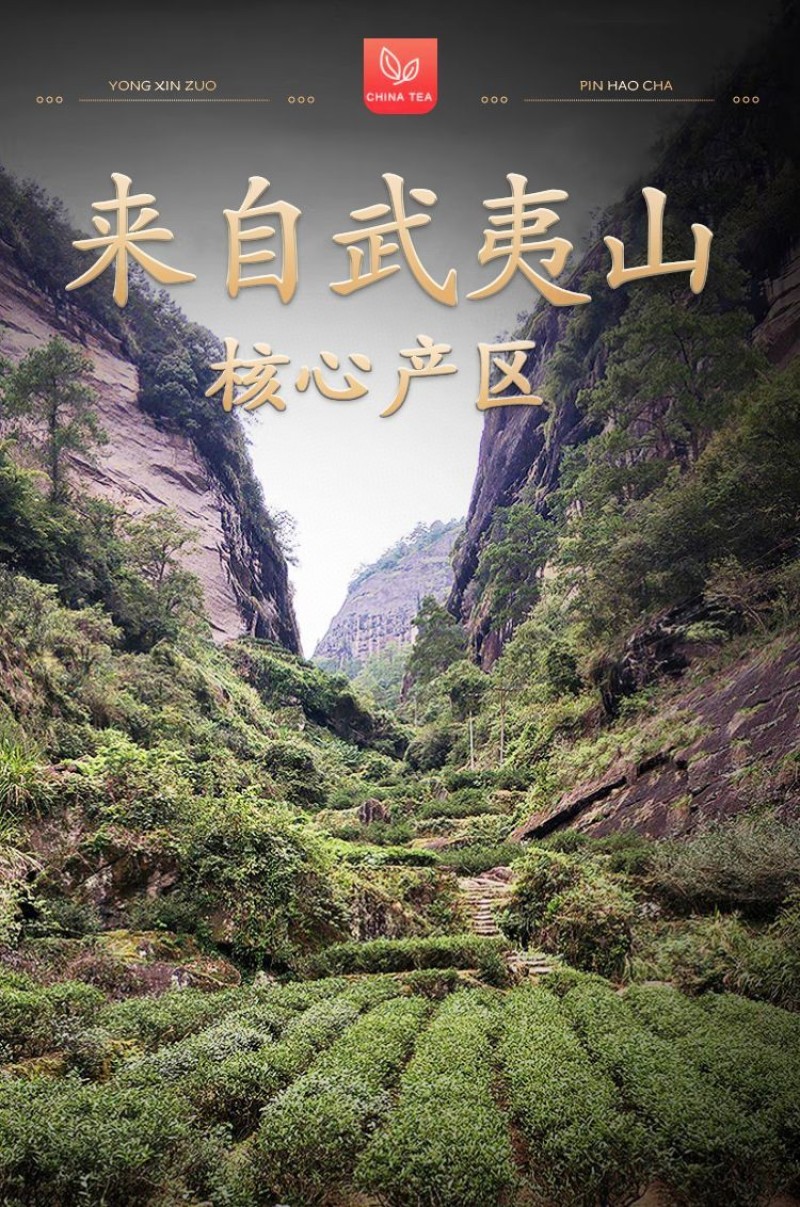 500g果香味岩茶肉桂大红袍浓香型正岩乌龙茶好茶