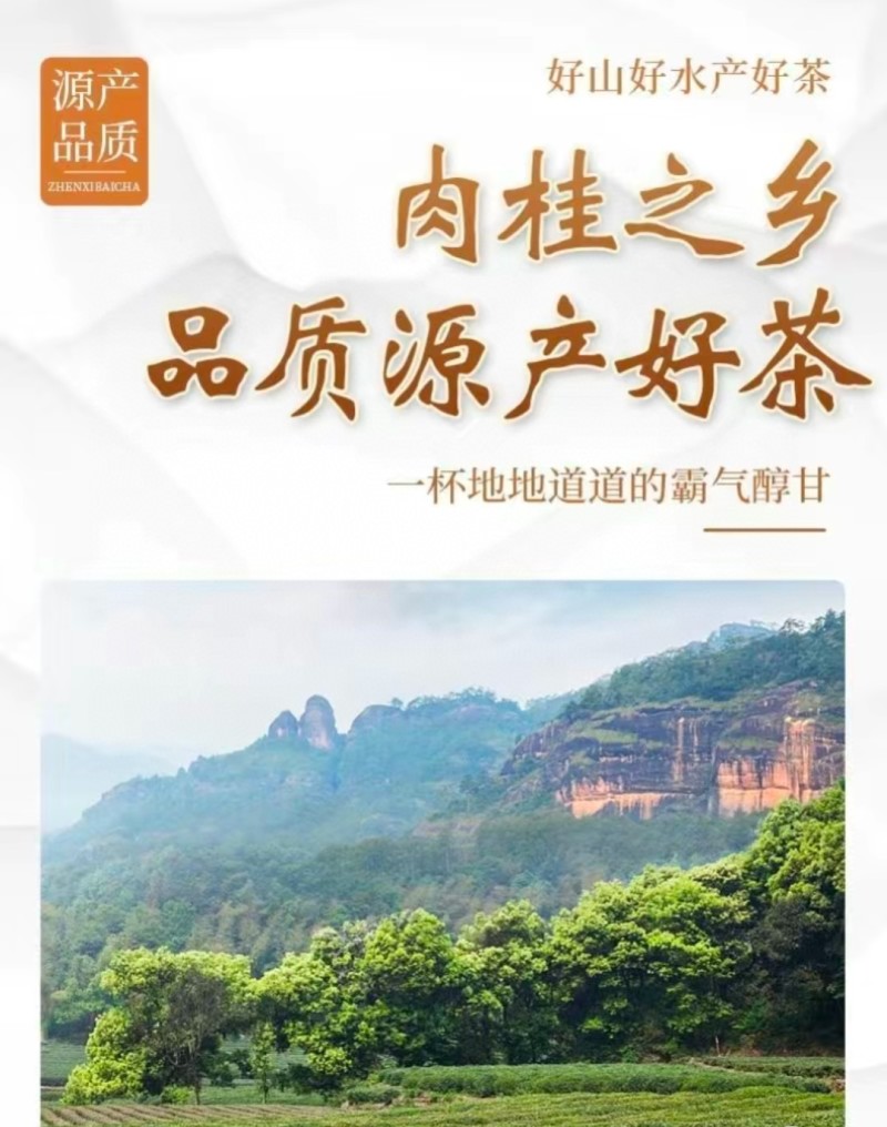 500g果香味岩茶肉桂大红袍浓香型正岩乌龙茶好茶