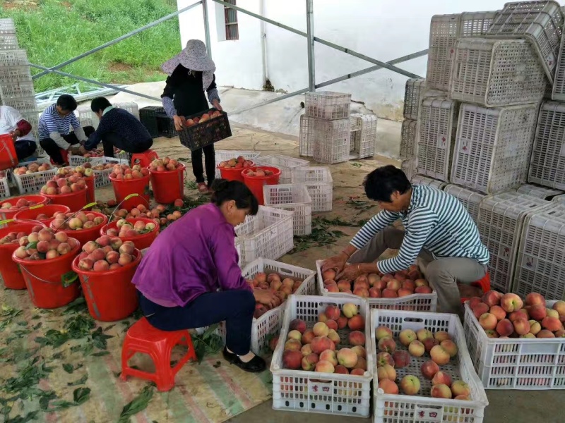 六安市金安区突围