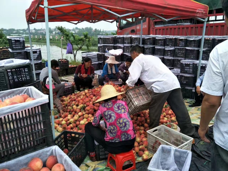 六安市金安区突围