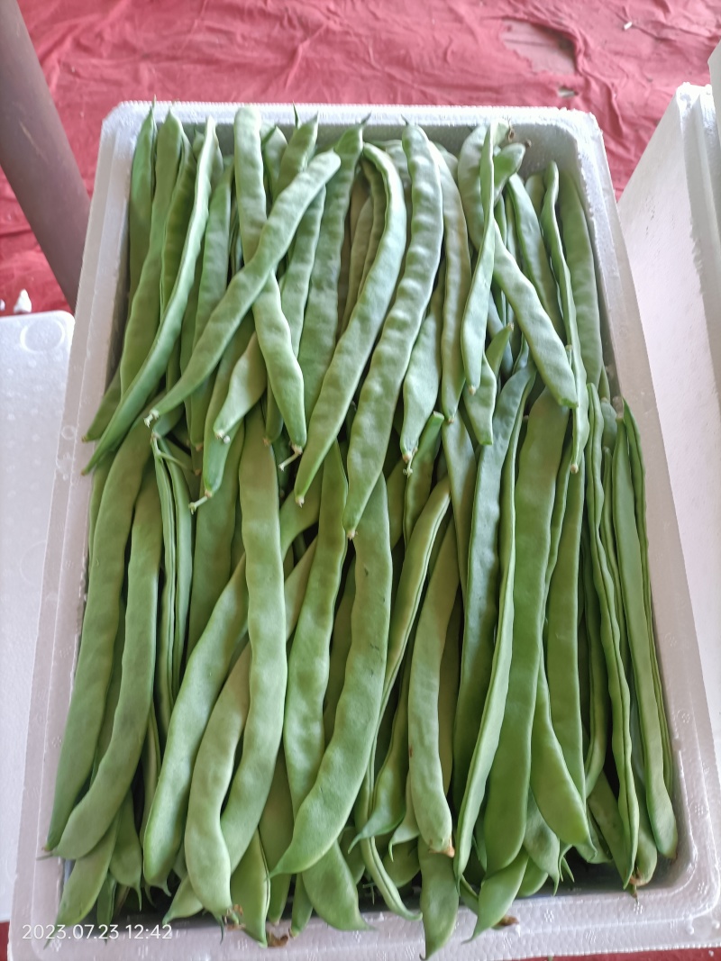扁豆，新鲜脆绿、镰刀状，长20-30厘米，欢迎采购一手货