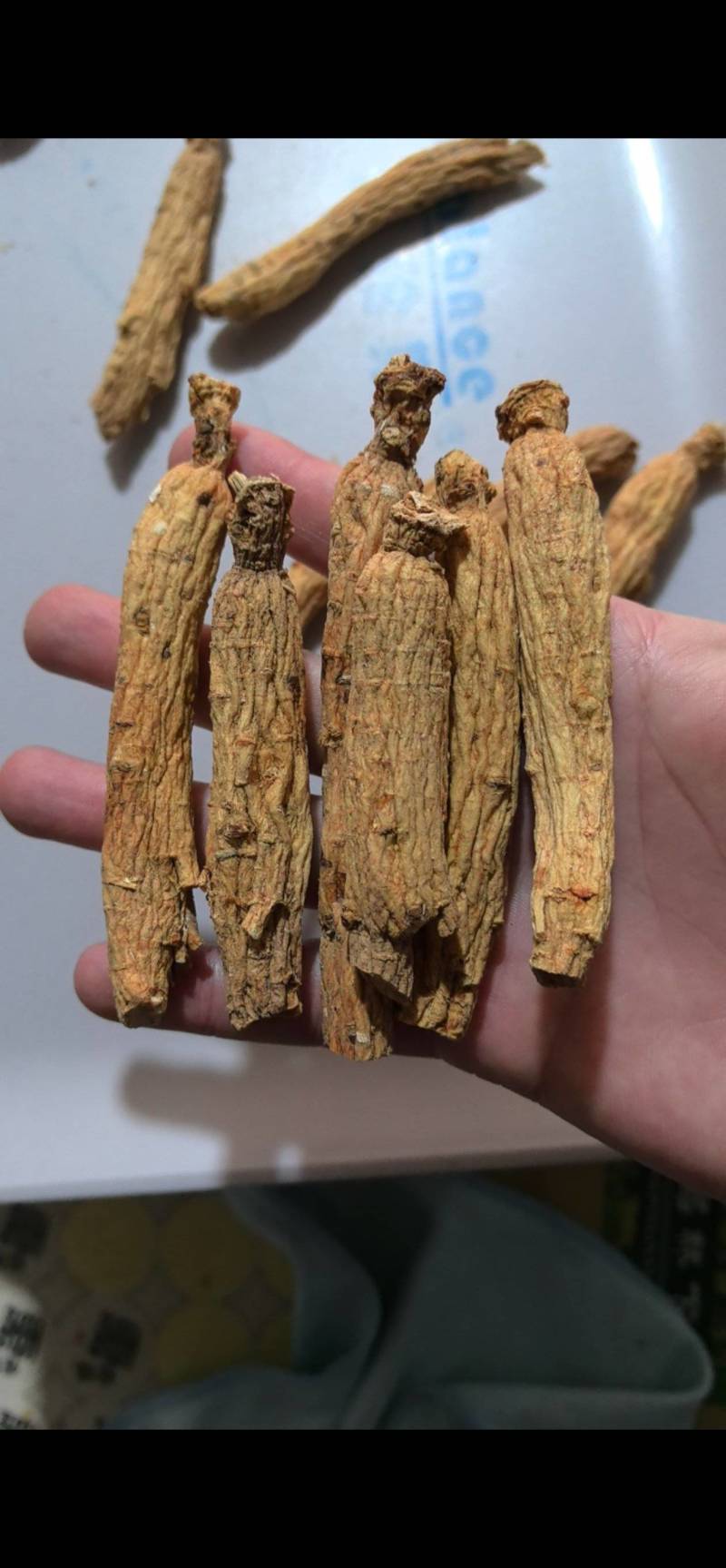 高丽参白参陈年金黄色生晒高丽参香味浓郁250克/瓶