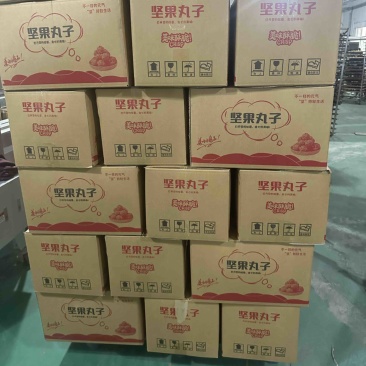 坚果小丸子生产厂家直批一箱净重十斤跑江湖产品