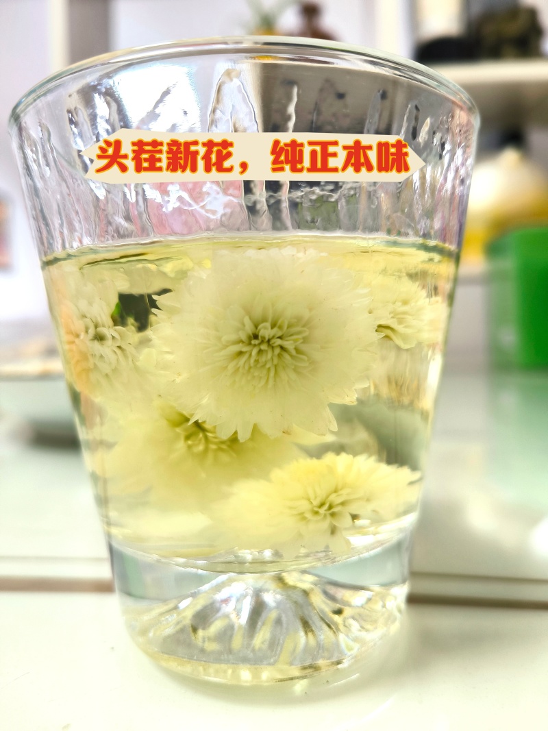 黄山贡菊花茶批发泡水白菊花茶精品头茬特级
