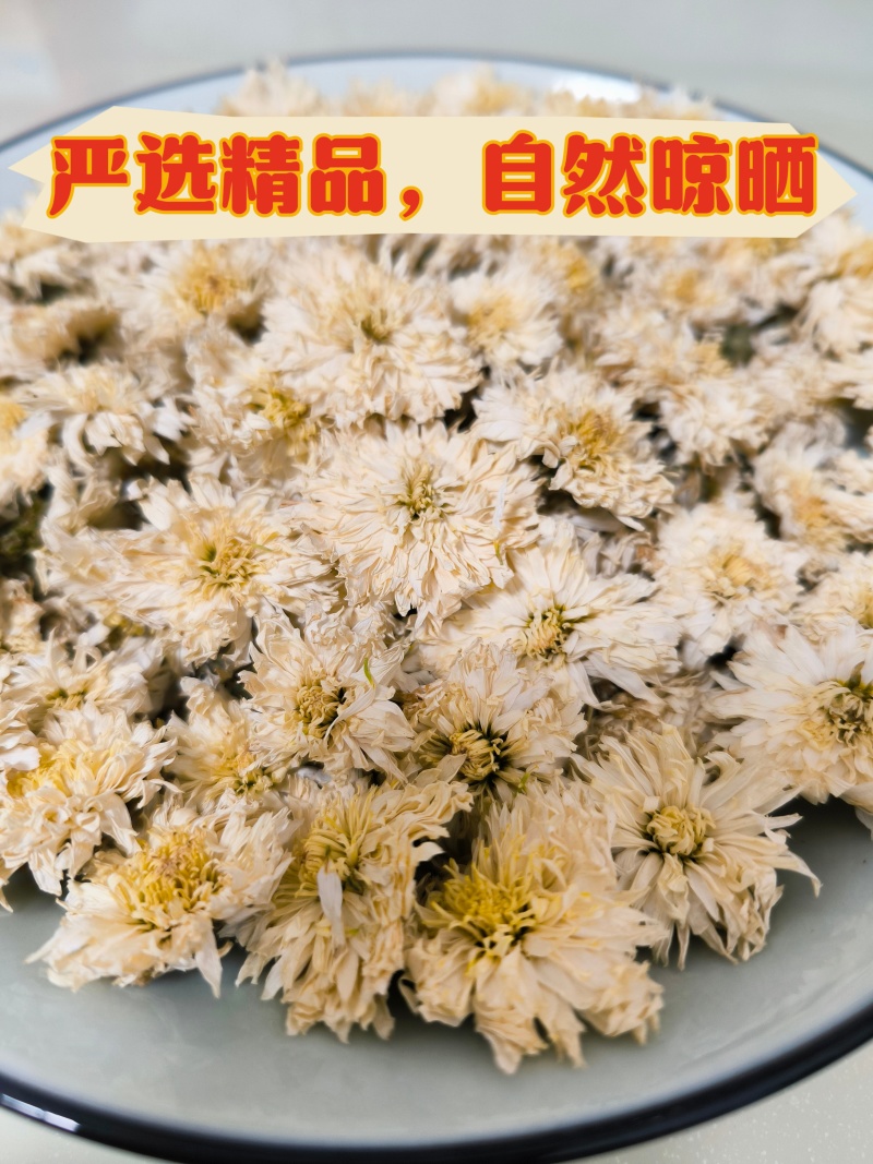 黄山贡菊花茶批发泡水白菊花茶精品头茬特级