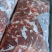 纯干牛碎肉
