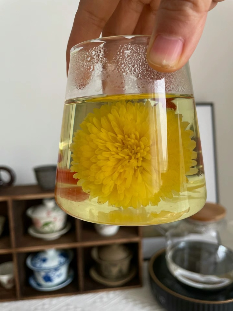 婺源黄菊正品精选大货供应各种花茶均有出售